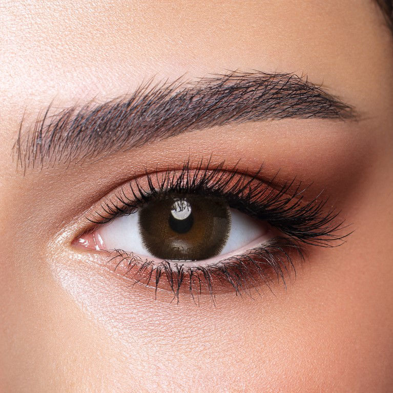 Bella - Cedar - One Day Collection Color Contact Lenses