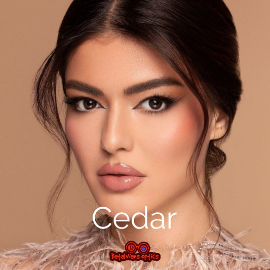 Bella - Cedar - One Day Collection Color Contact Lenses